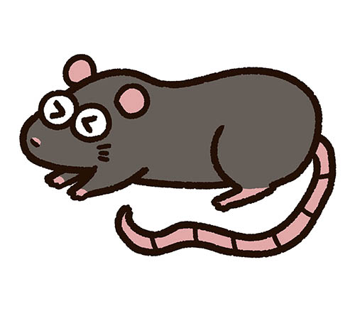 ネズミはとても小さな動物ですが